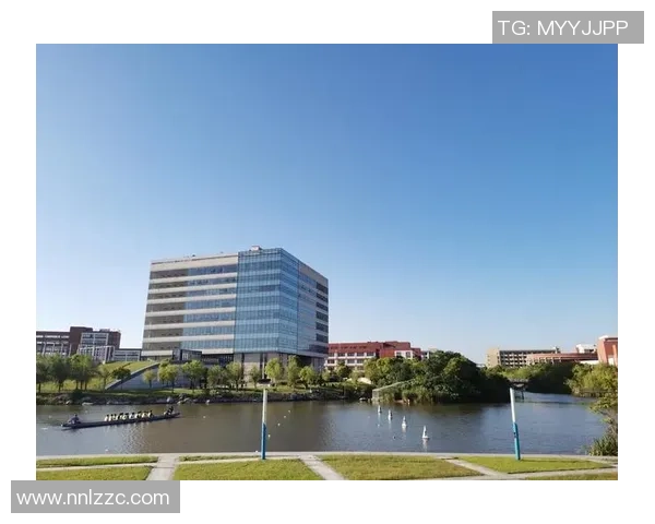 杭州极限运动队的阵地战分析与反思：得失背后的启示与未来展望MBA