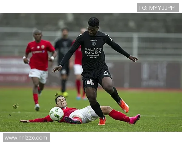 法马利与比兰尼的精彩对决分析及赛前预测展望